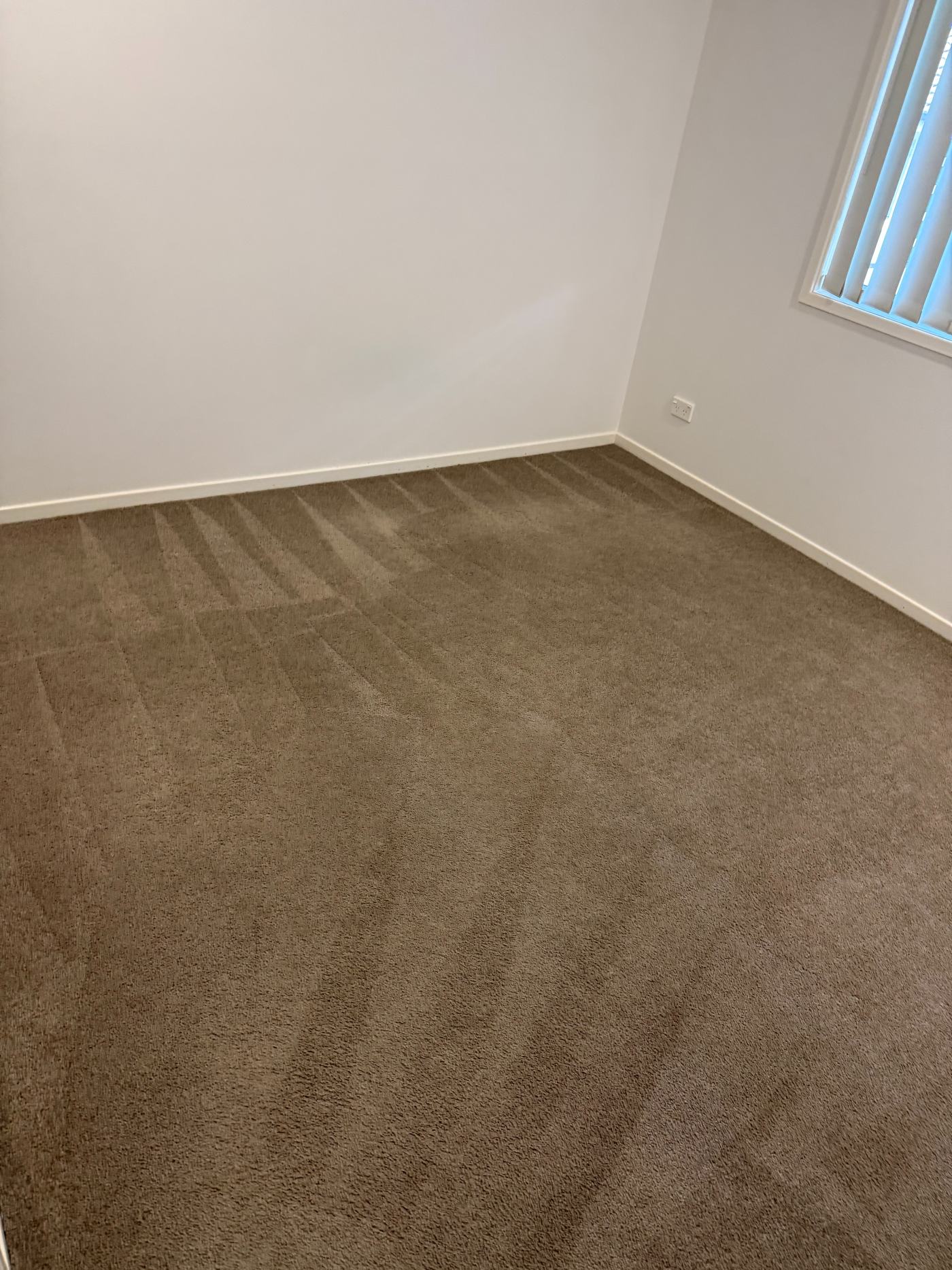 Clean carpet result after professional carpet cleaning in a Brisbane room