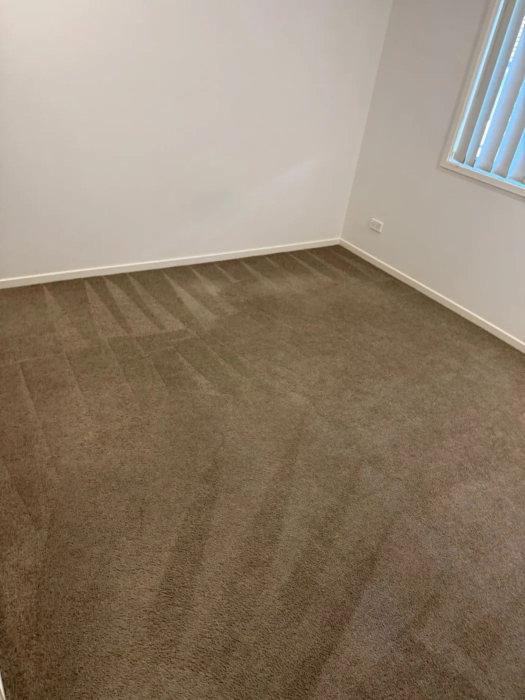 Clean carpet result after professional carpet cleaning in a Brisbane room