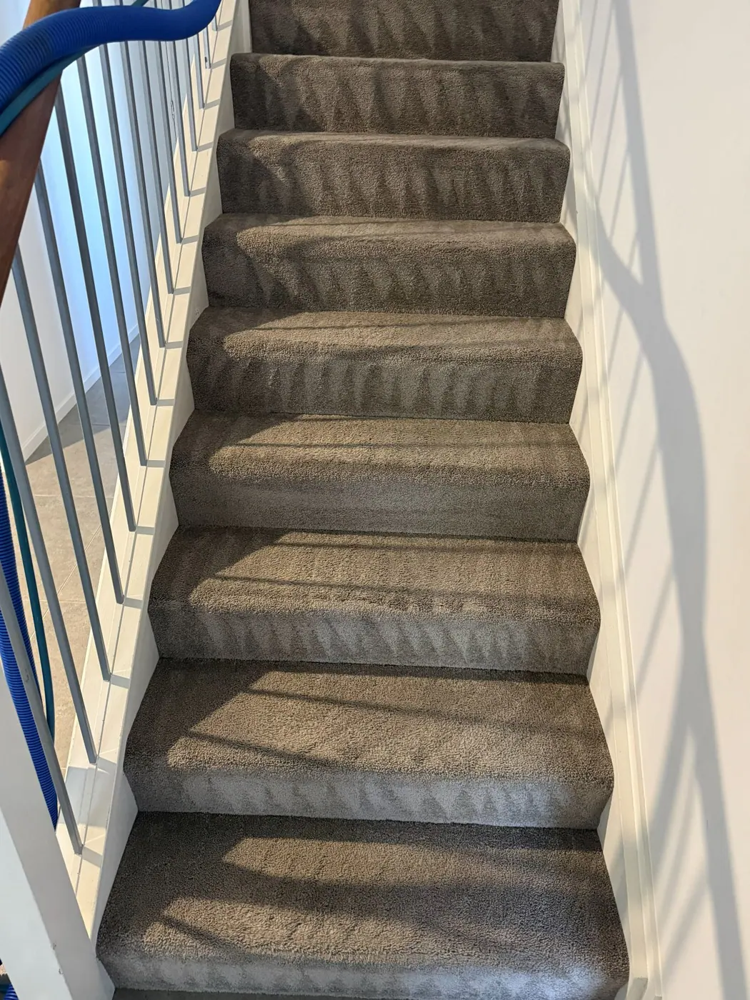 Professional carpet cleaning after photo showing refreshed room carpet
