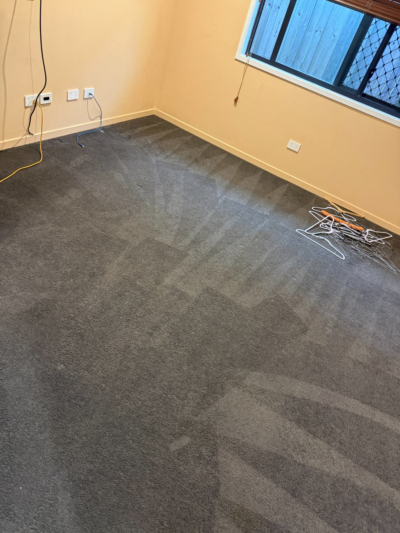 Clean dark carpet result after professional cleaning
