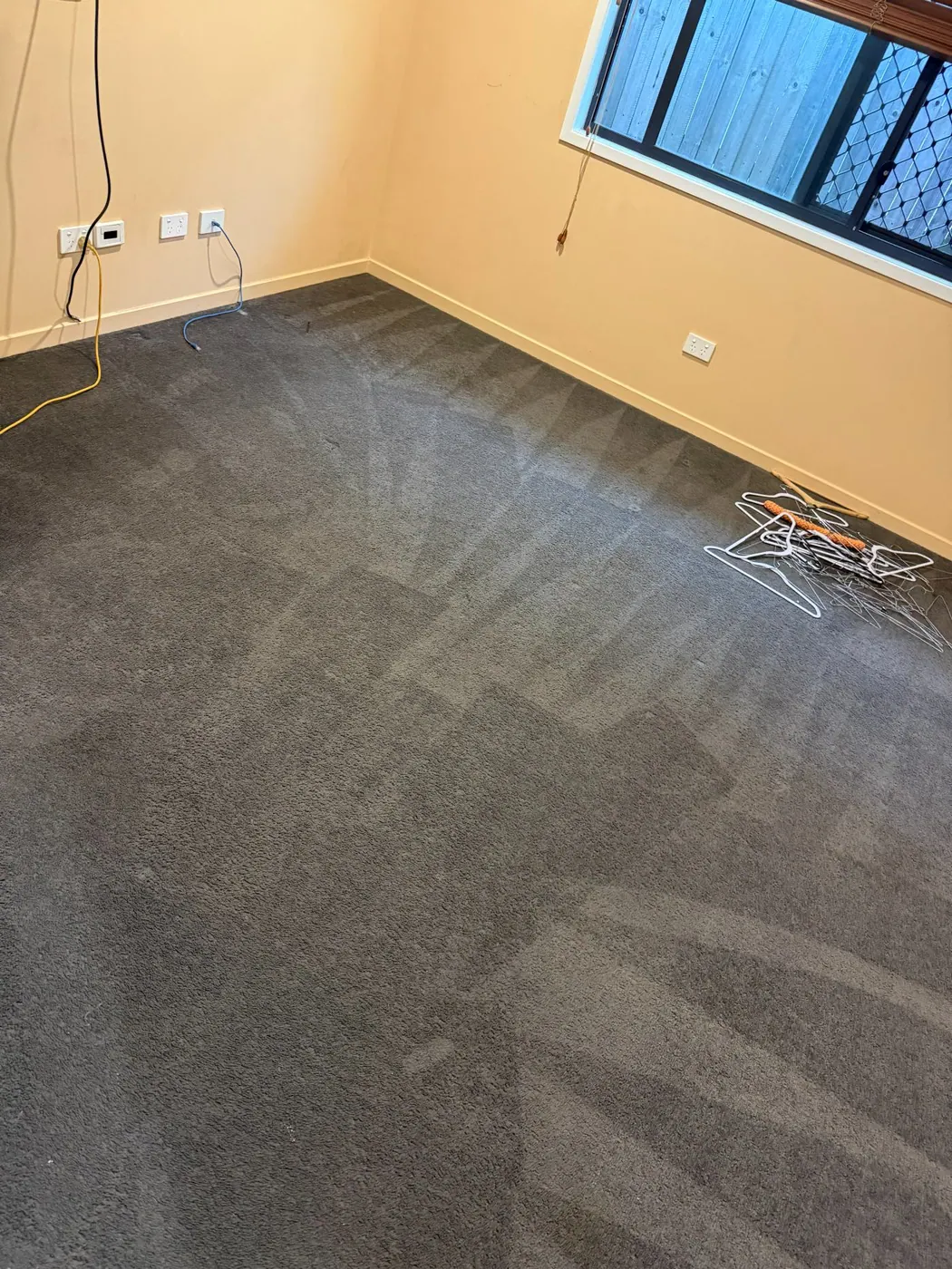 Clean dark carpet result after professional cleaning