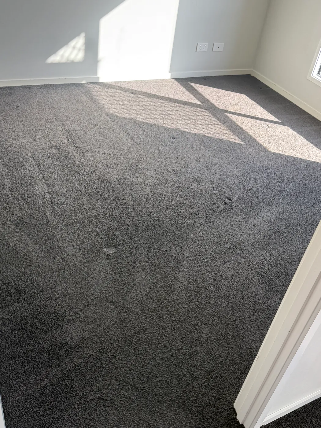 Dark grey bedroom carpet with fresh steam cleaning lines in a Brisbane home