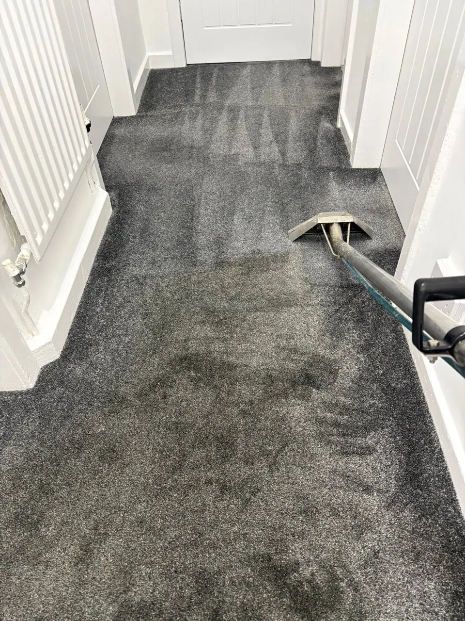 Recent carpet cleaning result in South East Queensland