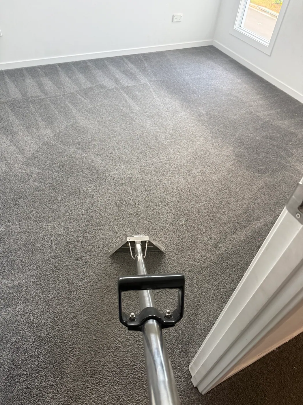 End of Lease Carpet Cleaning result in South Brisbane