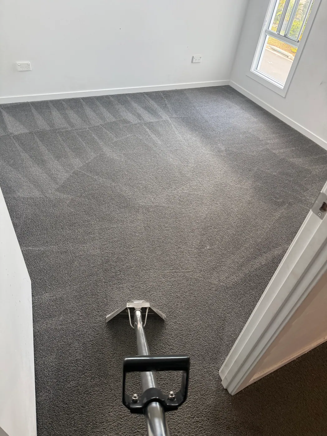 Carpet cleaning result in Logan Reserve